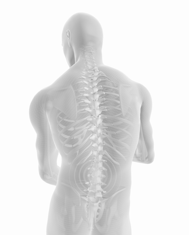 Back pain spine