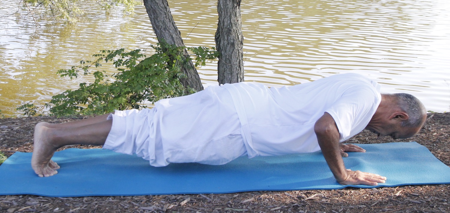 Chaturanga Dandasana (Four-limb Staff Pose)