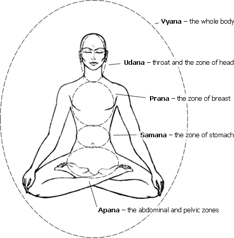 The five pranas  Yoga With Subhash
