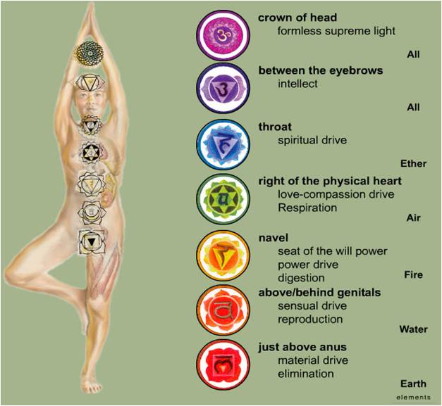 What are the 7 Chakras of Kundalini Yoga? - The Yoga Institute