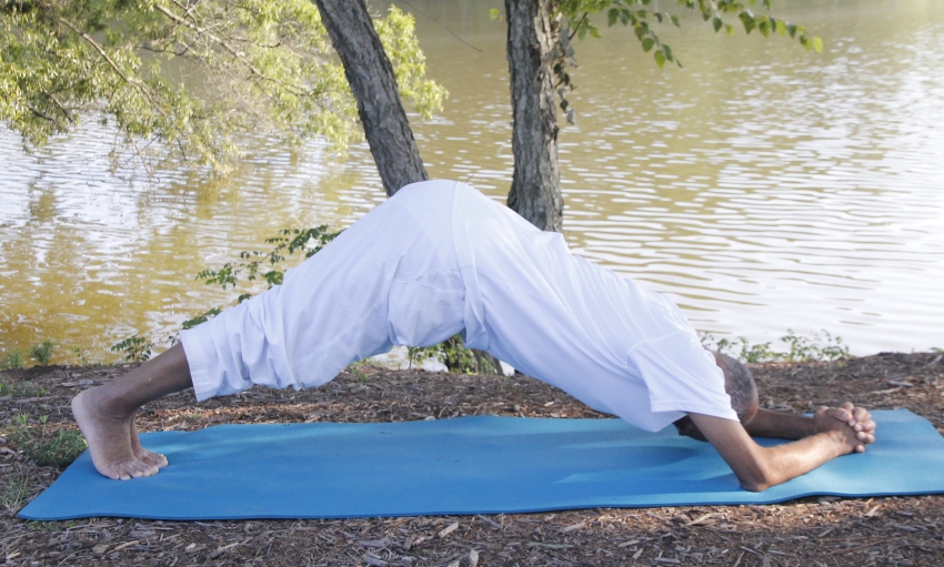 Dolphin Plank Pose | Yoga With Subhash
