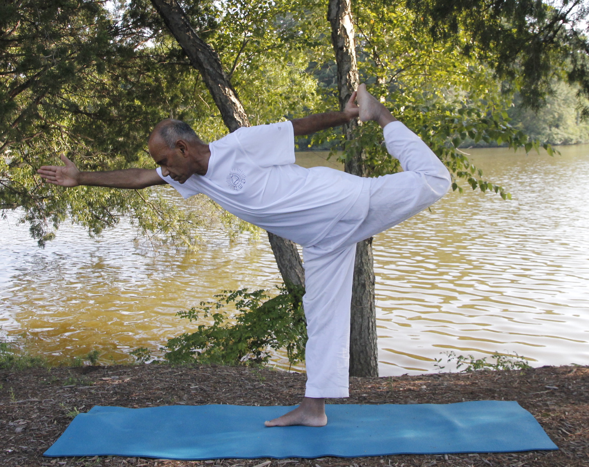 The Story Behind Yoga's Warrior Poses — Balance Garden